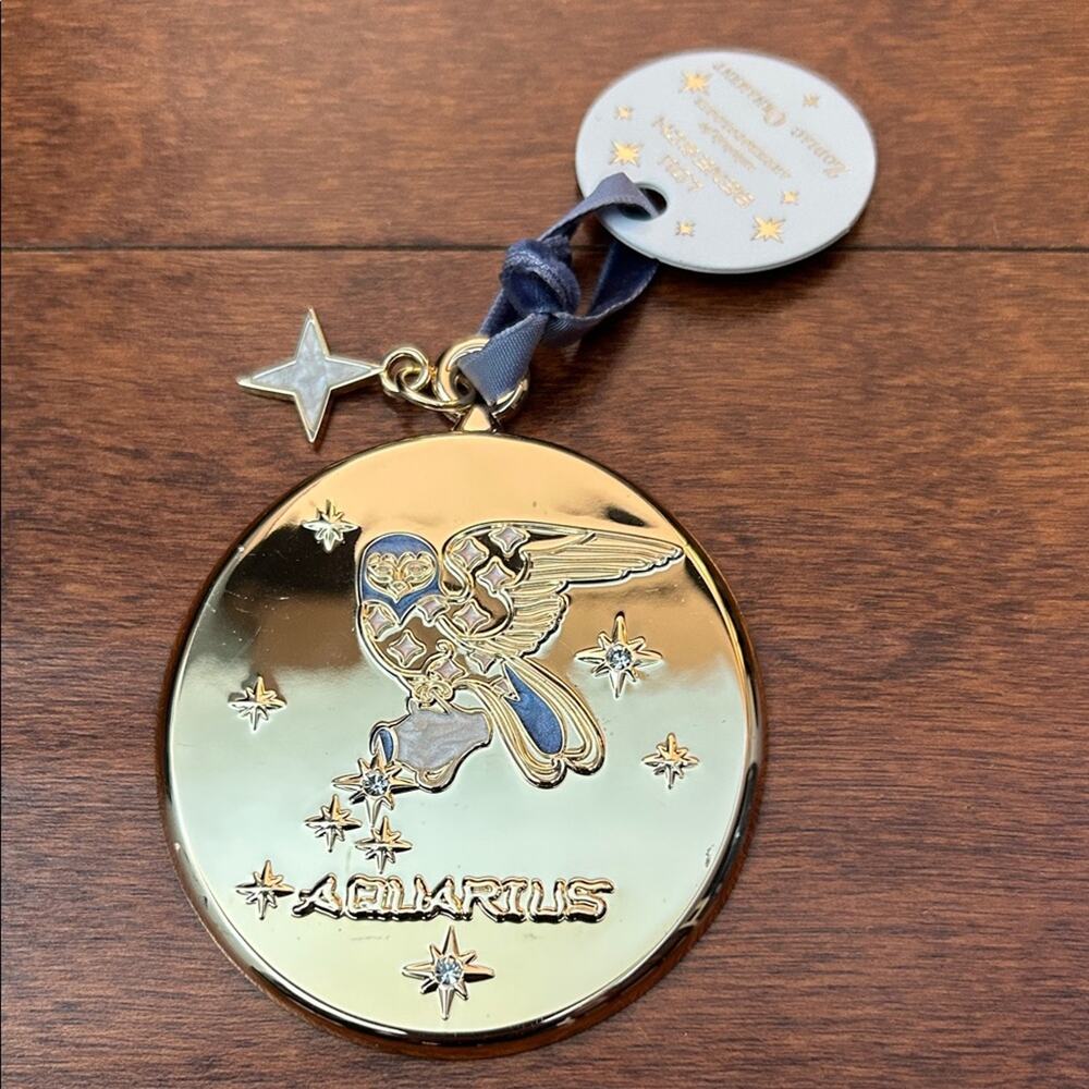 Anthropologie Lou Benesch Stargazer Aquarius Zodiac Ornament, NWT